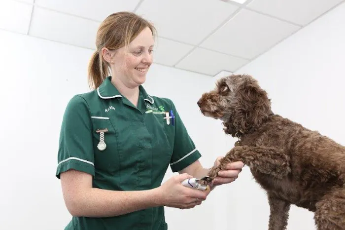The Minster Veterinary Practice, Willow Grove Picture 7