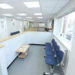 The Minster Veterinary Practice, Willow Grove