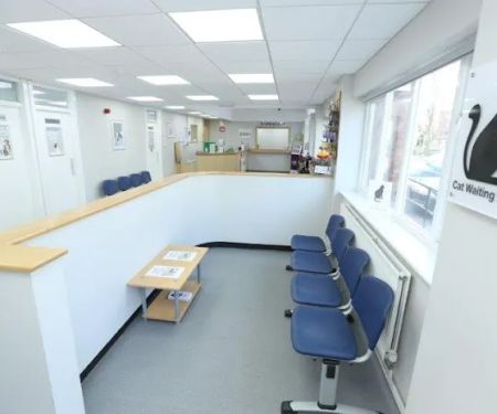 The Minster Veterinary Practice, Willow Grove