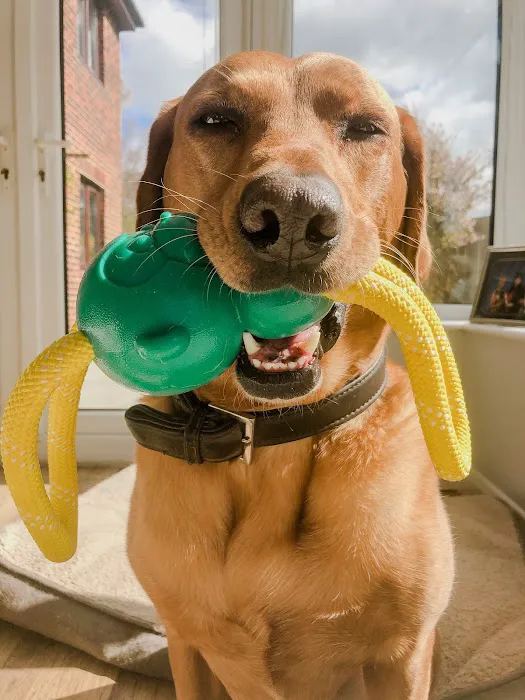 Mr Marley's Barkery Picture 1