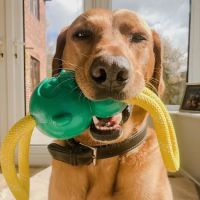 Mr Marley's Barkery ico