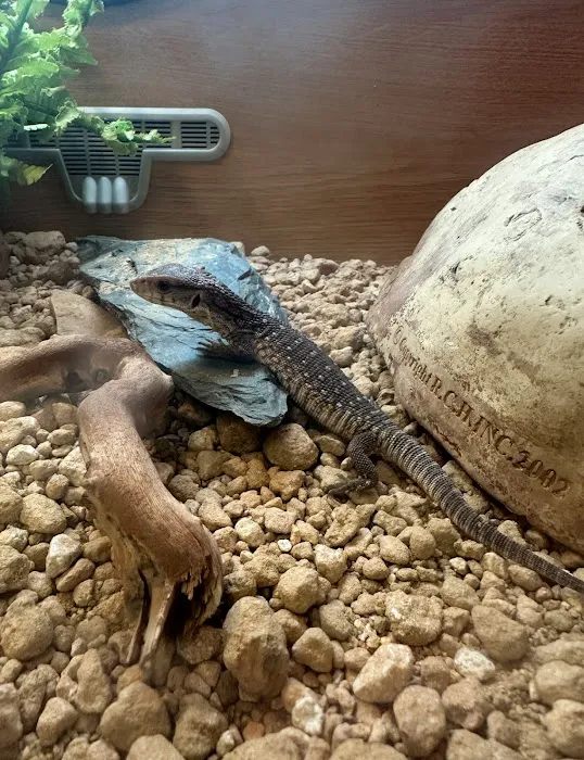 Wright's Reptiles & Aquatics Picture 4