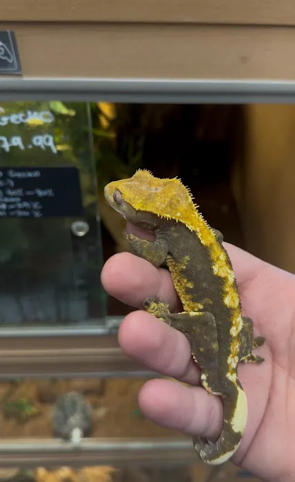 Wright's Reptiles & Aquatics Picture 2