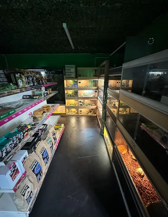 Wright's Reptiles & Aquatics Picture 5