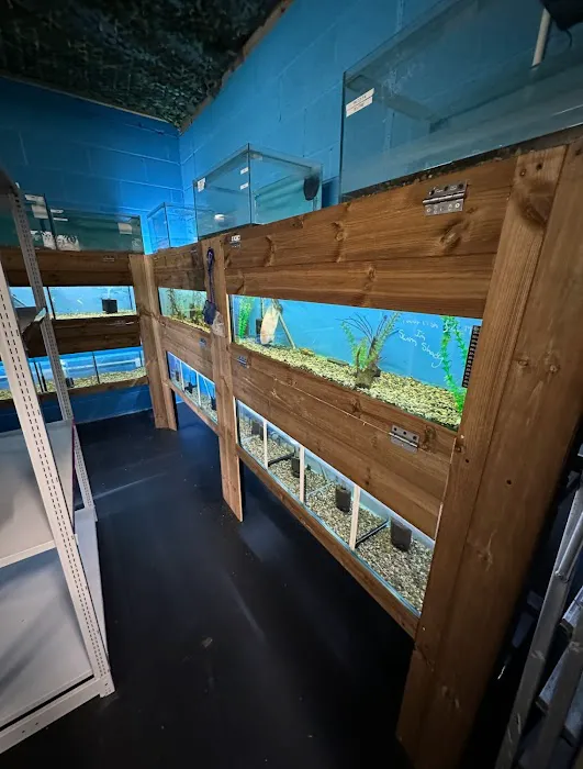 Wright's Reptiles & Aquatics Picture 3