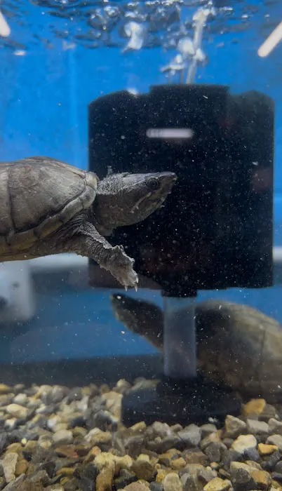 Wright's Reptiles & Aquatics Picture 8