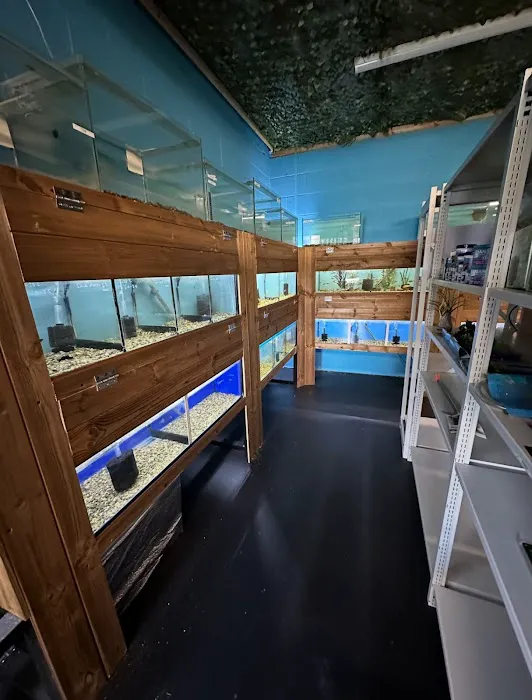 Wright's Reptiles & Aquatics Picture 7