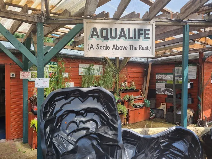 Aqualife Leyland Picture 3