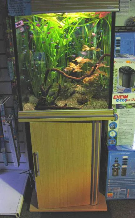 Aqualife Leyland Picture 4