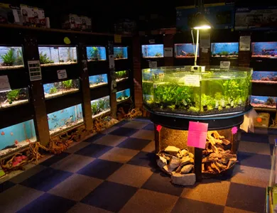 Aqualife Leyland Picture 8