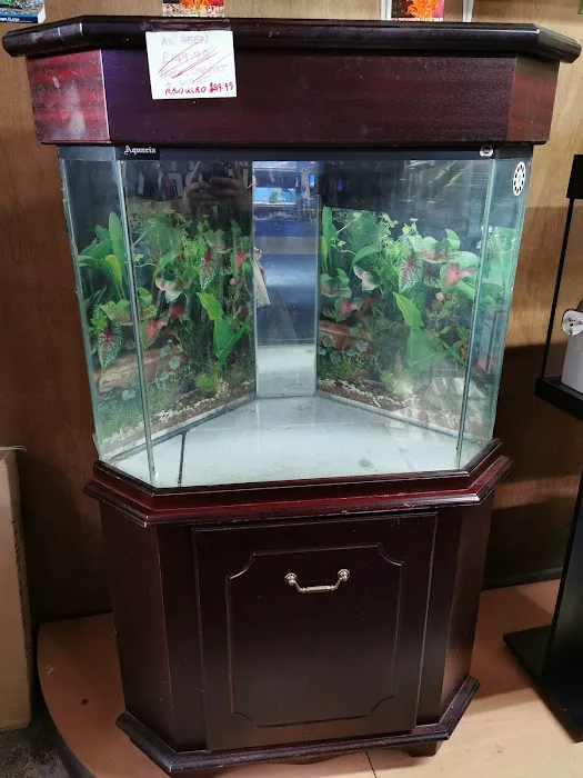 Aqualife Leyland Picture 1