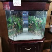 Aqualife Leyland ico