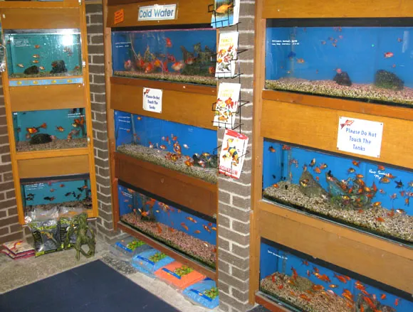 Aqualife Leyland Picture 10