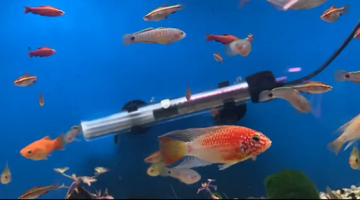 Aqualife Leyland Picture 9