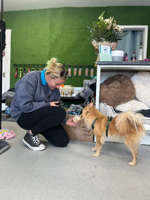 The Doggy Shop Picture 3