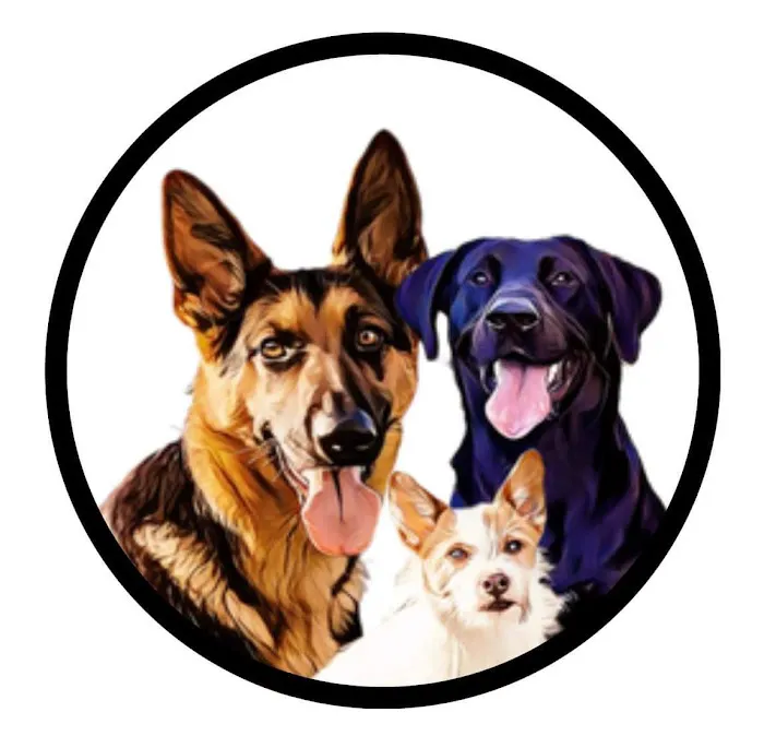 The Doggy Shop Picture 2