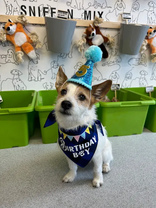 The Doggy Shop Picture 7