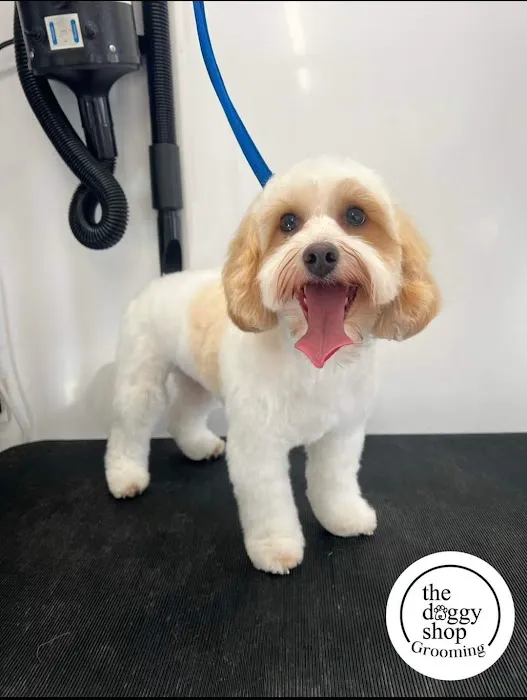 The Doggy Shop Picture 6