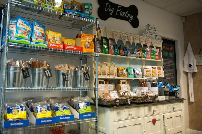 The Doggy Shop Picture 10