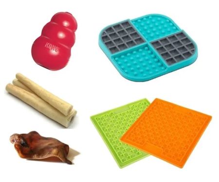 Confident Canines Kitchen