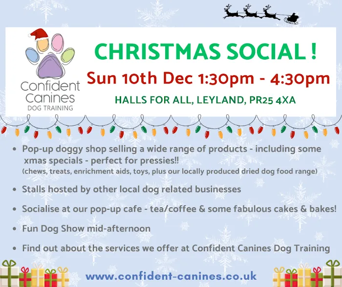 Confident Canines Kitchen Picture 2