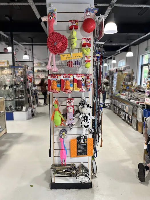 The Pet Zone Picture 6