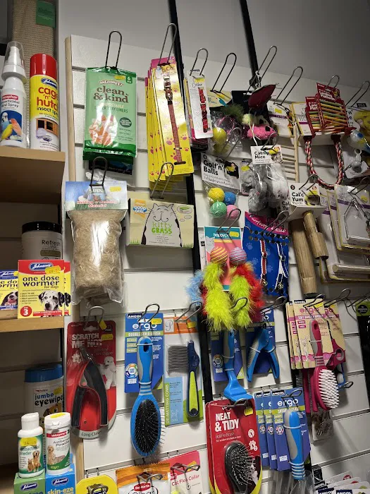 The Pet Zone Picture 5