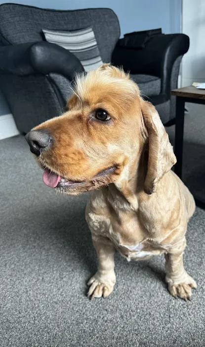 Barkabullz Picture 3