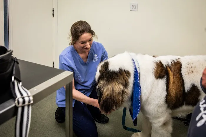 Oakhill Vets - Kirkham Branch Picture 6