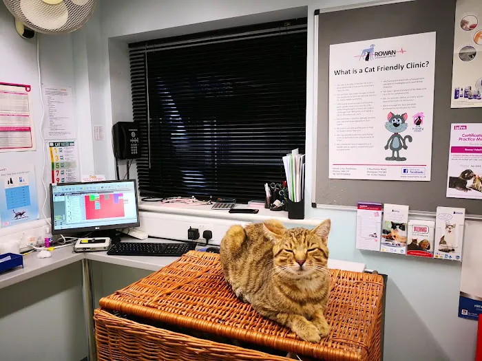 Rowan Veterinary Centre Ltd Picture 4
