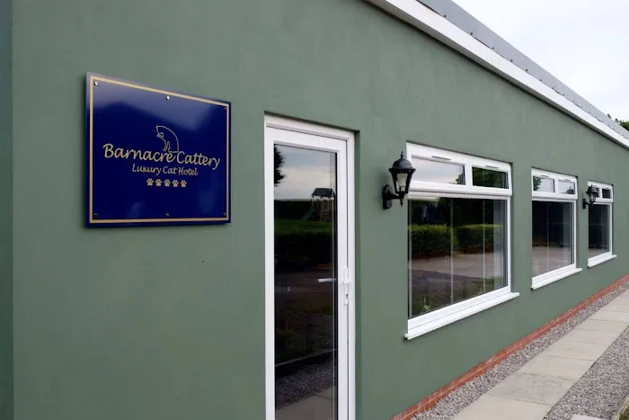 Barnacre Cattery Picture 1