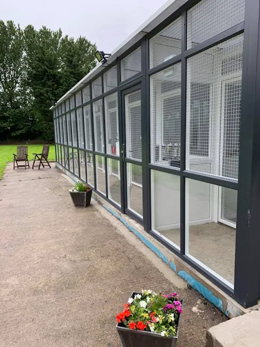 Two Rivers Cattery Picture 3