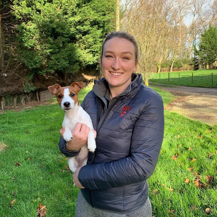 North Western Vet Physio Picture 7