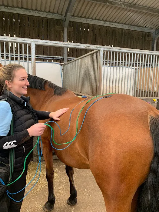 North Western Vet Physio Picture 3