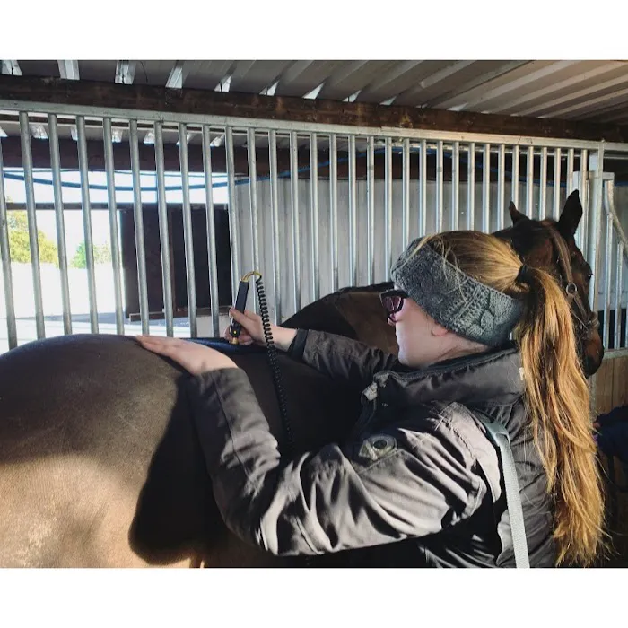 North Western Vet Physio Picture 8