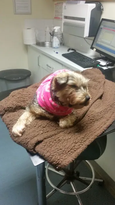 Vets4Pets - Preston Picture 2