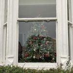 Tower Veterinary Group, Fulford Surgery