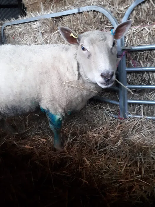 Westpoint Farm Vets, York Picture 5