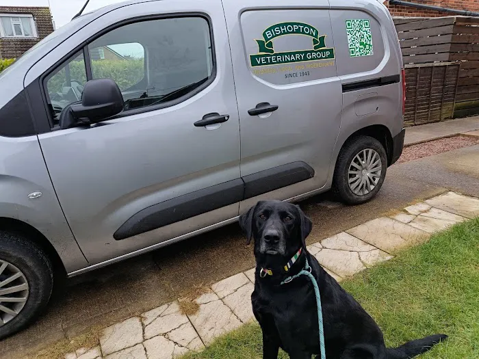 Bishopton Veterinary Group York Picture 4