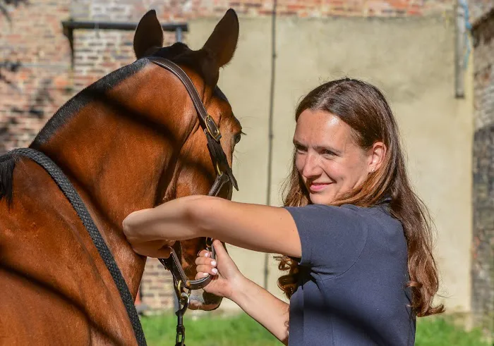 The Horse Vet Picture 1
