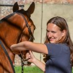 The Horse Vet