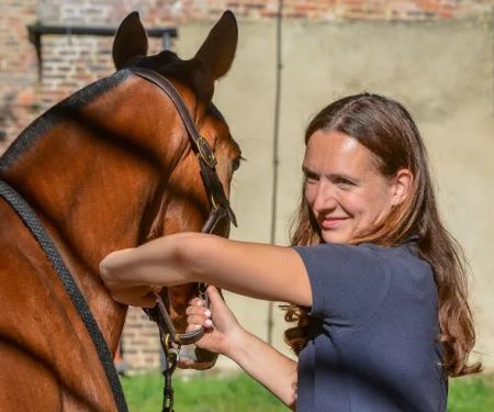 The Horse Vet