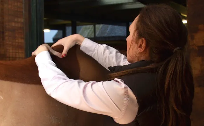 The Horse Vet Picture 2