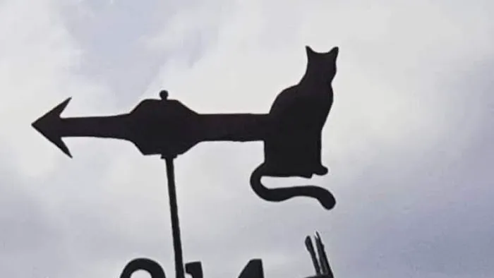 Penrose Farm Cattery Picture 2