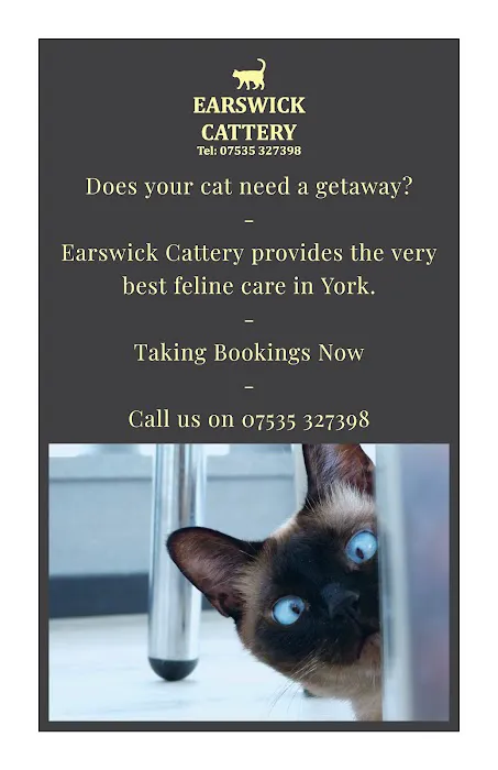 Earswick Cattery Picture 1