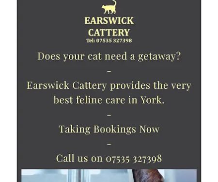 Earswick Cattery