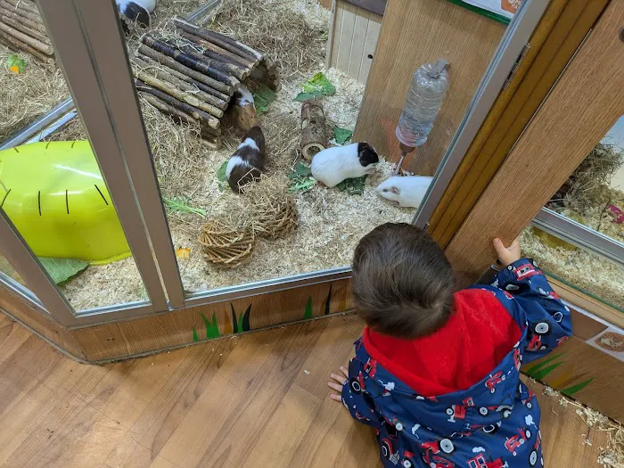 Pets at Home Selby Picture 2