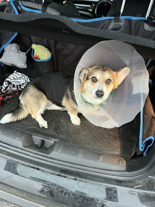 Pets at Home Selby Picture 6