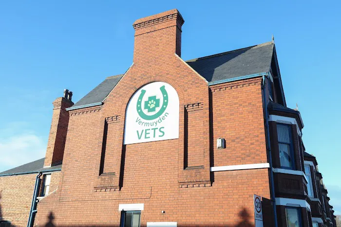 Vermuyden Vets Picture 4