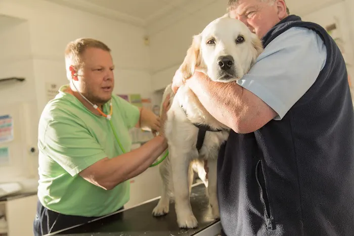 Vermuyden Vets Picture 8